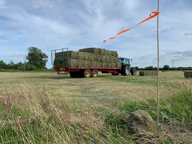 Haymaking
