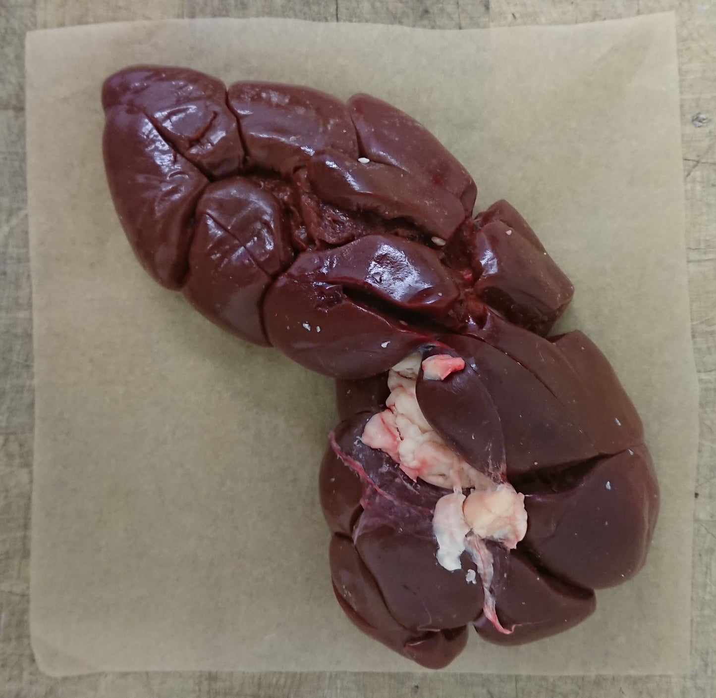 Kidney (Whole)
